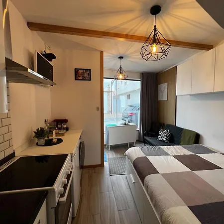 Estudio Matriz Pvz * 波瓦－迪瓦尔津