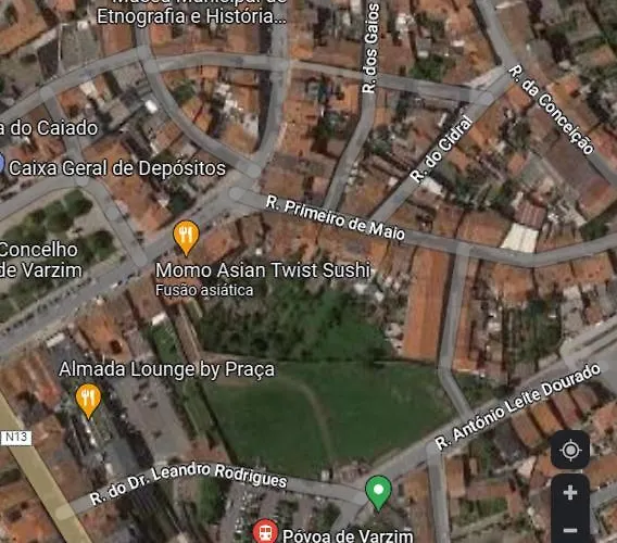 Estudio Matriz Pvz *