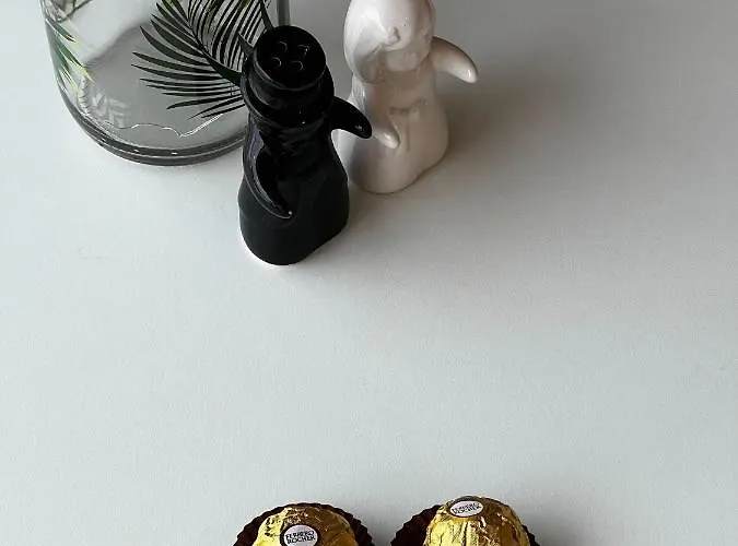 Estudio Matriz Pvz Homestay szállás Póvoa de Varzim